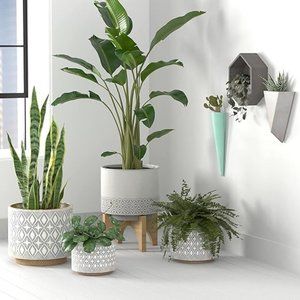 Rivet Geometric Ceramic Planter Cylindrical Pot